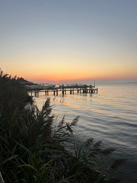 Fire Island Sharon DeLeasa Realty Rental Listing