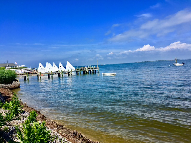 Fire Island Sharon DeLeasa Realty Rental Listing