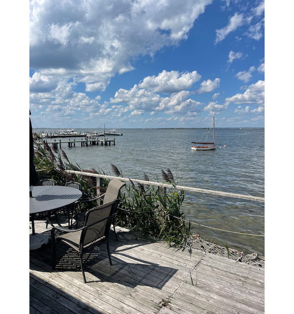 Fire Island Sharon DeLeasa Realty Rental Listing