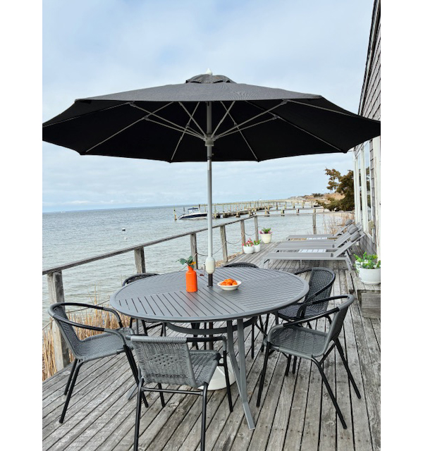 Fire Island Sharon DeLeasa Realty Rental Listing